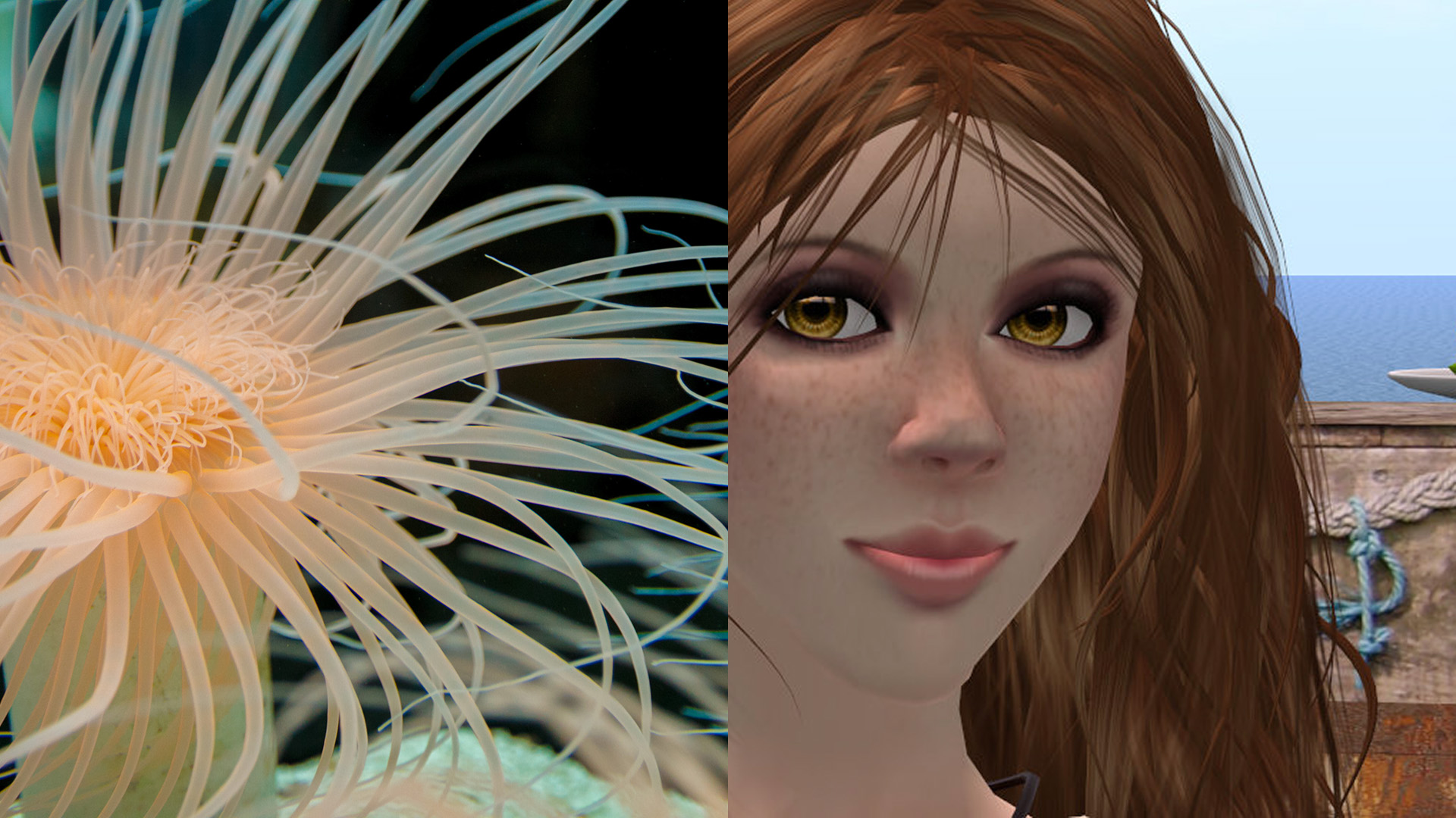 diptych of Vanessa Blaylock and a sea anemone